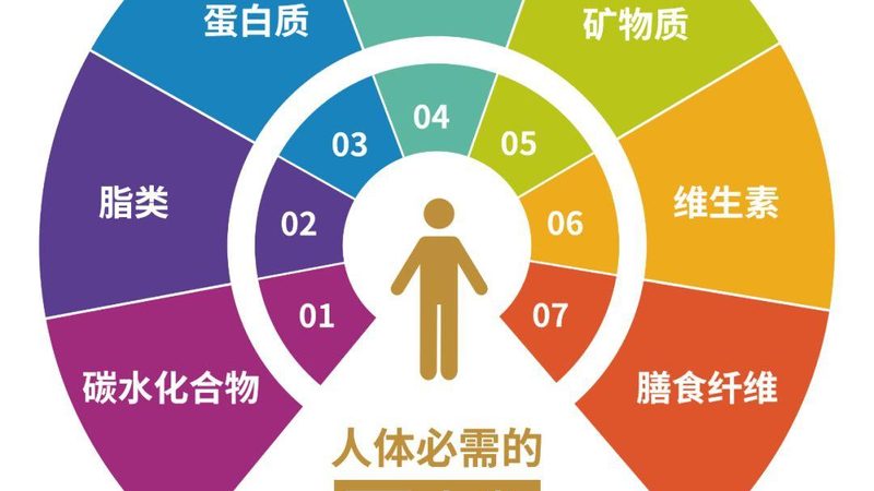 辅酶Q10原料供应商与加工厂：揭秘两者间的关键差异